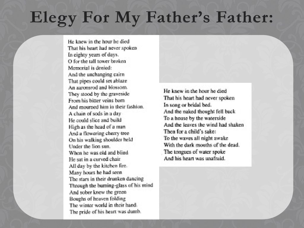 elegy for my fathers father figurative language